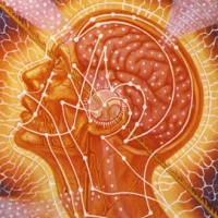 Modern Oriental Medicine and Meridian Therapy