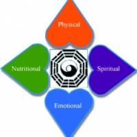 Dr. Love is a Heart Protector