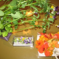 Tao of Forgotten Foods