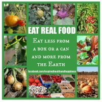 THE TAO OF BALANCED DIET