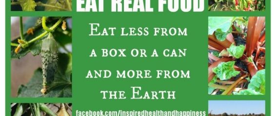 THE TAO OF BALANCED DIET