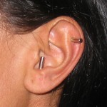 2 EAR MAGNETS