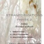 Chinese Stop Smoking Kit - 5Transformations